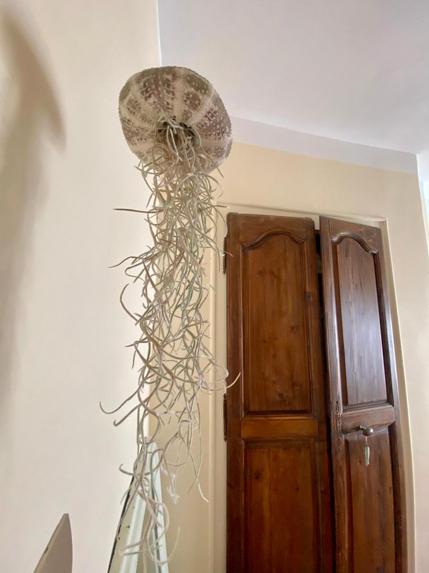 شقة Casa Paloma ساناري سور مير المظهر الخارجي الصورة